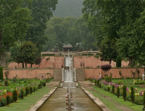 Mughal Gardens Kashmir